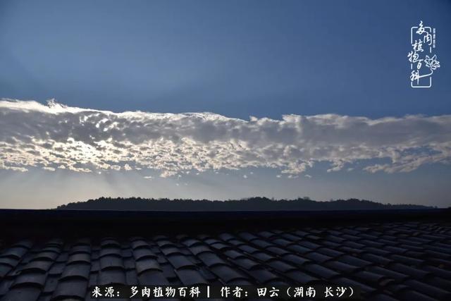 影片剧照