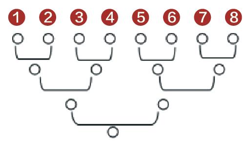 用数学的眼光看奥运 1 单循环与淘汰赛 全网搜