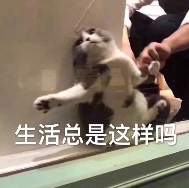 [星速云微信好友数据]，微信怎么把拉黑的人释放出来