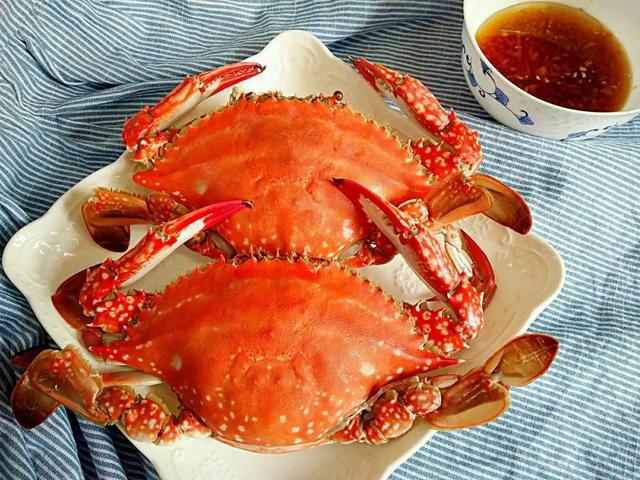 中國吃蟹地圖，10大名蟹品種，哪個是你的最愛？
