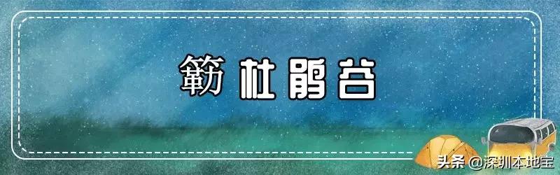 万万没想到！宝安有这么多好玩还不要钱的地方！你都去过了吗？