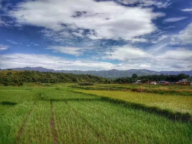 七月份哪里有木工机械展