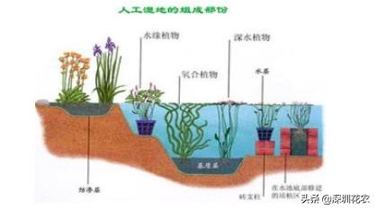 昆明洗砂机经销商建湖