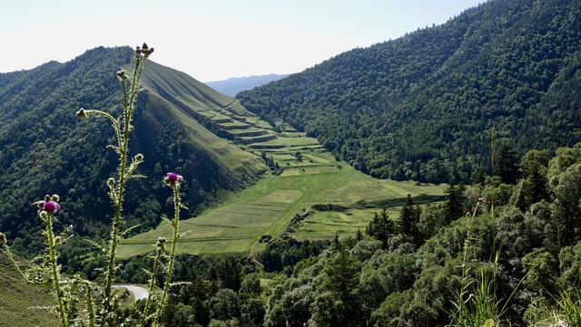 万有国家森林公园