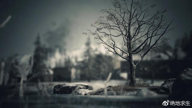 [云凤凰渠道]，微信游戏视频高能时刻怎么下载