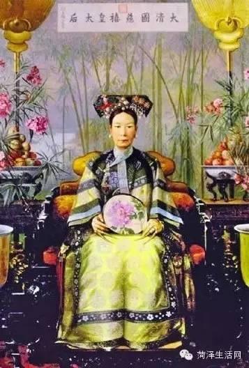 牡丹花品种大全(牡丹花品种大全图解)