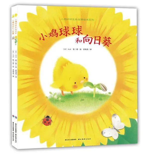 兰可琪：《小鸡球球和向日葵》感受友情，探求生命的真谛