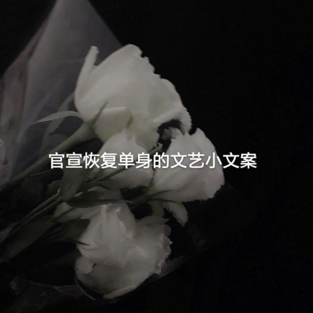 单身节文案单身文案唯美