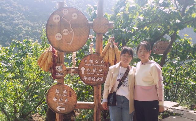 漫山遍野的母猪草：突然变成了长生不老药