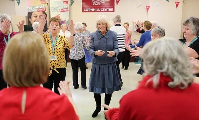 戴安娜卡米拉和查尔斯的故事（查尔斯双标）