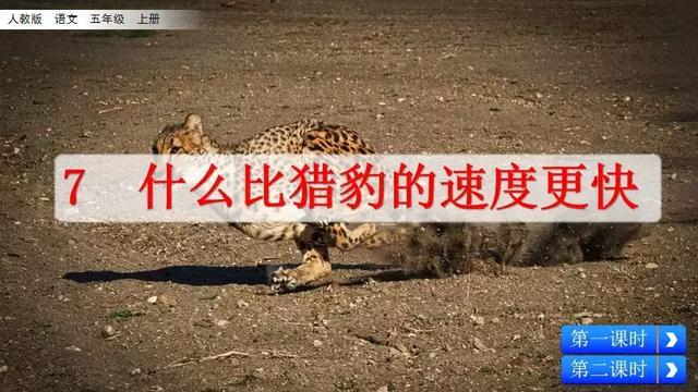 赤的组词