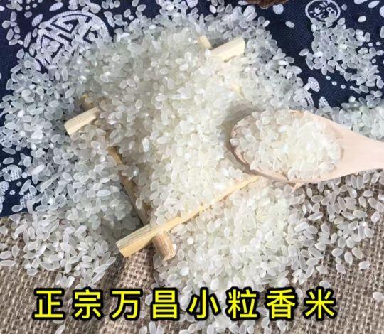 小型金属破碎机找万昌机械