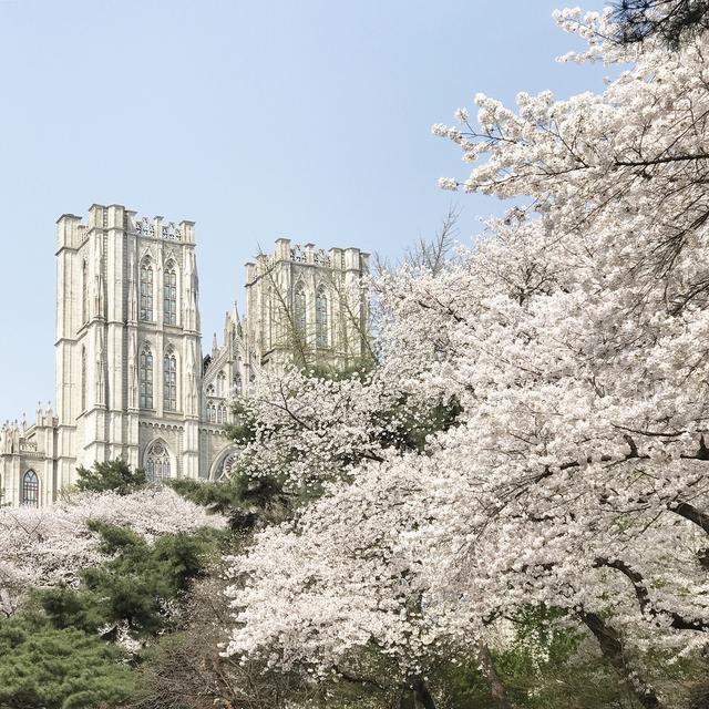 ������ר����app(�����˳��õ�����app����Щ������Щ���ѳ߶Ⱥ������㣿)