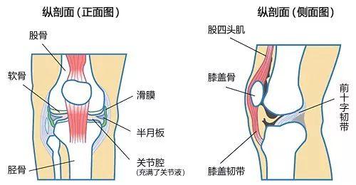 关节僵硬怎么办