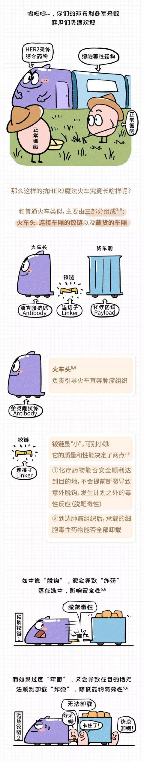 一圖讀懂丨ADC類藥物（腫瘤的第四階梯藥物）