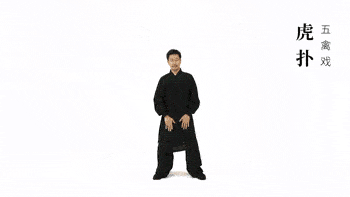 养生气功五禽戏教学（仙家秘传五禽戏：健康长寿）