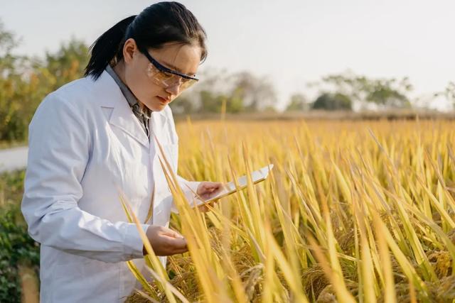 “云上跃迁”——中国企业云智融合之路