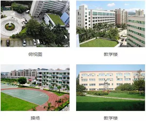 深圳赛格国际学校