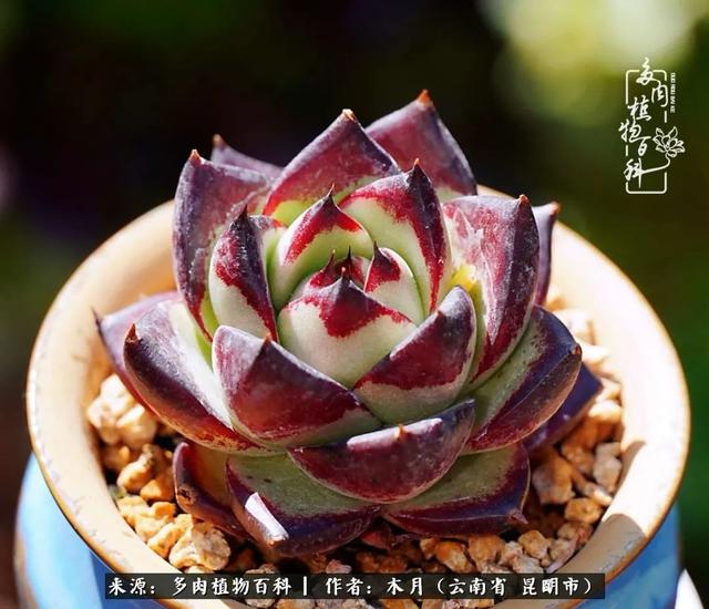 安康石英砂洗砂机厂家电话
