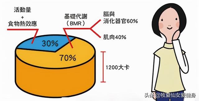 想减肥并不难 控制饮食与运动消耗也不能瘦 可从三个方面找原因 全网搜