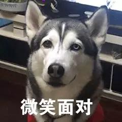 什么粉底液好