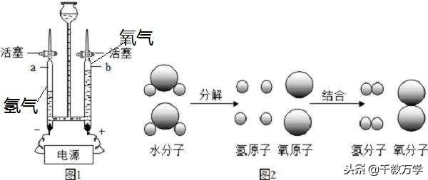 水的性质