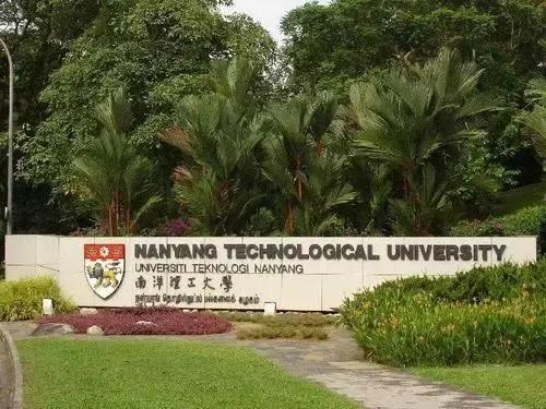 新加坡的另一面，帶你看看真實的新加坡，看完別吃驚