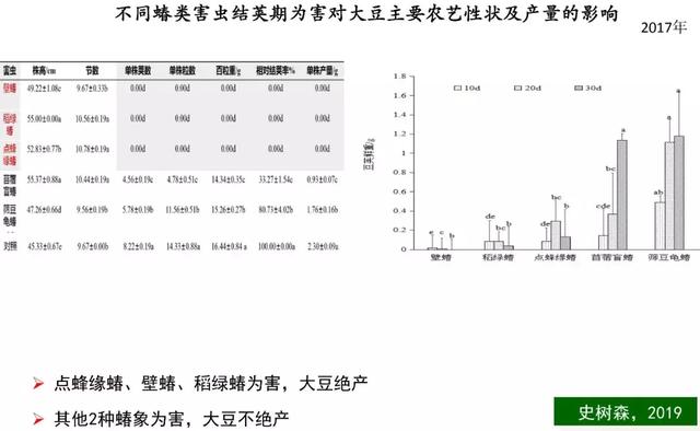 大豆症青——黄淮海夏大豆生产的“癌症”？“罪魁祸首”是它！14