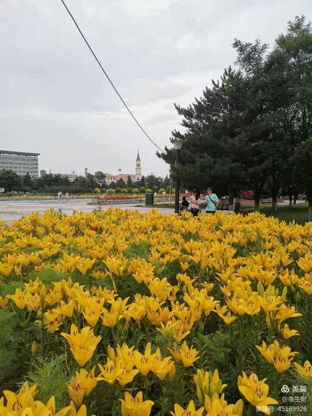 走进紫晨广场：文/李生财，图/郭翠枝