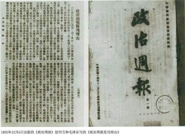 周报的作用(周报的意义和价值)