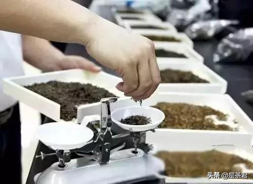茶树破碎机