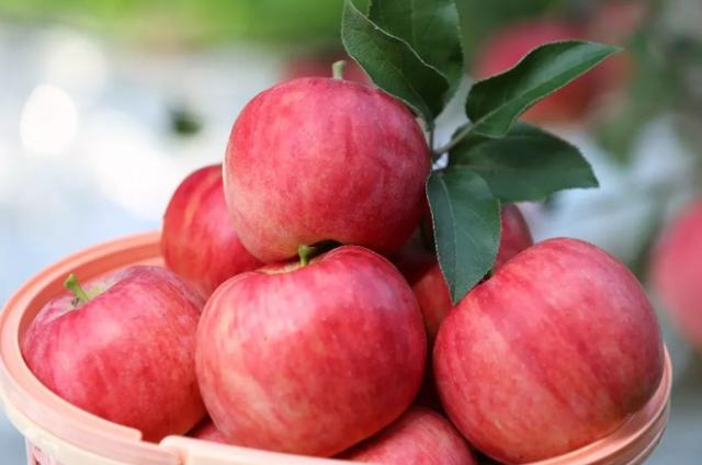 坚持一天吃一个苹果，胃病可以好转吗？