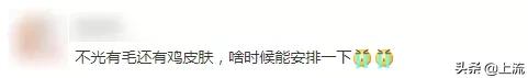 汗毛长不出来成了鸡皮肤