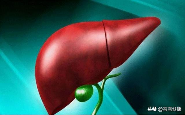 41岁大哥，每天坚持喝菊花养肝，半年过去，如今怎么样了？