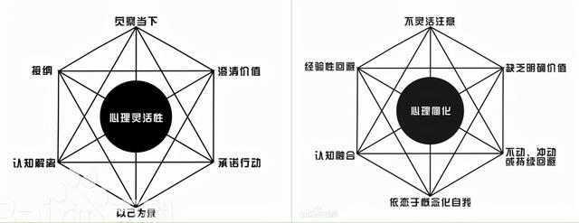 你是心理 灵活 的父母吗 心理学家认为这是影响养育能力的关键 全网搜
