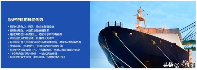 3月15日广州木工机械展