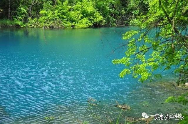 人为什么要喝水、水对人的重要性