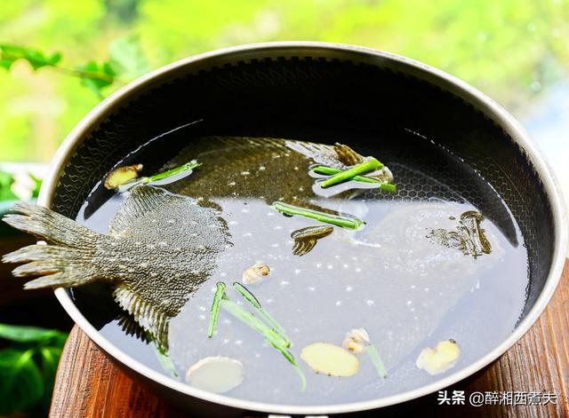 多宝鱼有鱼鳞吗