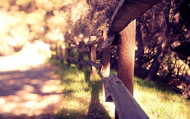 好书推荐 | 请保存好这份双十一书单