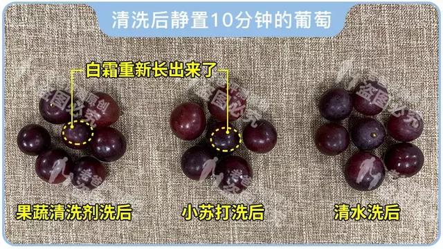 葡萄表面的白霜是糖还是农药，怎么洗不掉？11