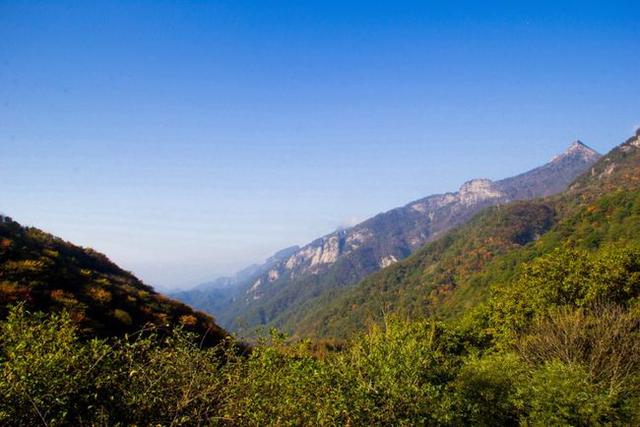 寻访秦岭苦竹沟，灌满浆汁的烂红野果和山货挂满枝头，都无人采摘3