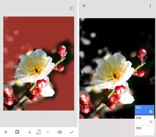 [微信七里香代理]，微信视频发黑了怎么调呢