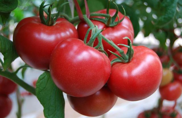 妇科主任：女人过了50岁，别太节俭！要及时补充4种营养素