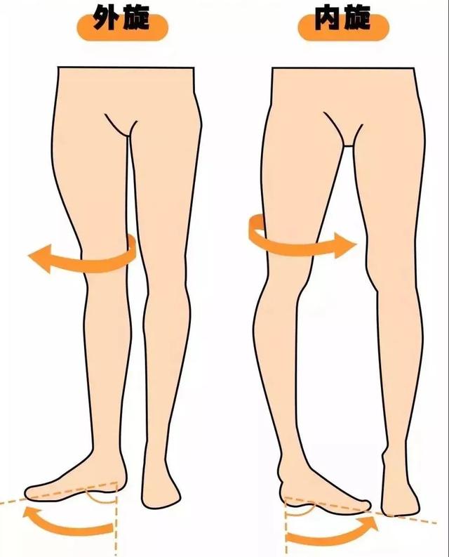 长期以往,臀部臀大肌,臀小肌无力下垂,腰部腰大肌,竖脊肌过度代偿紧张