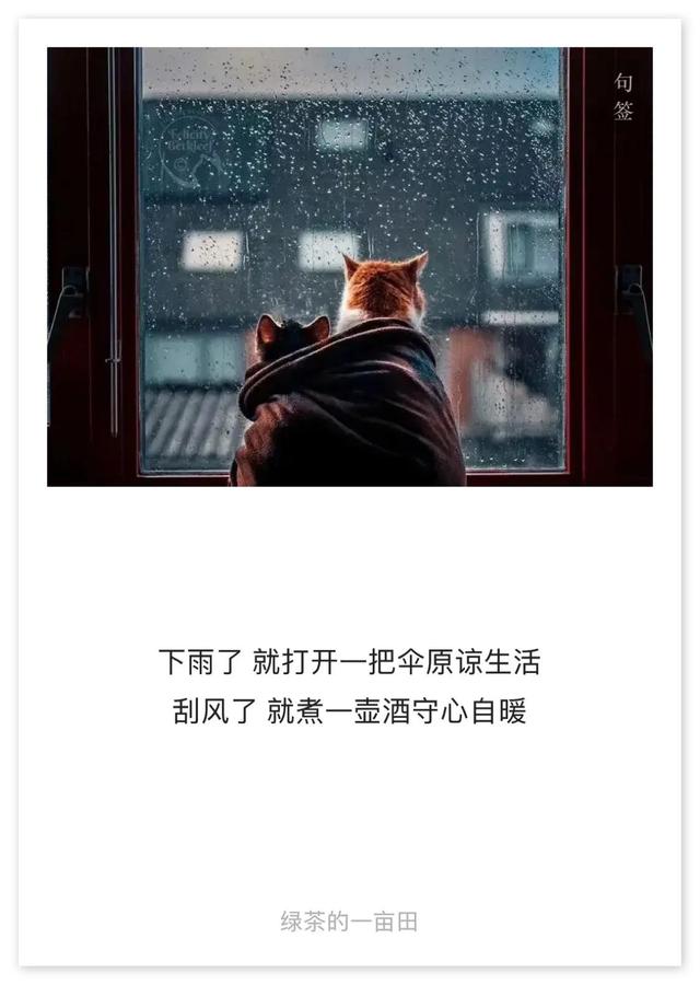 2021.9.14 一日一言