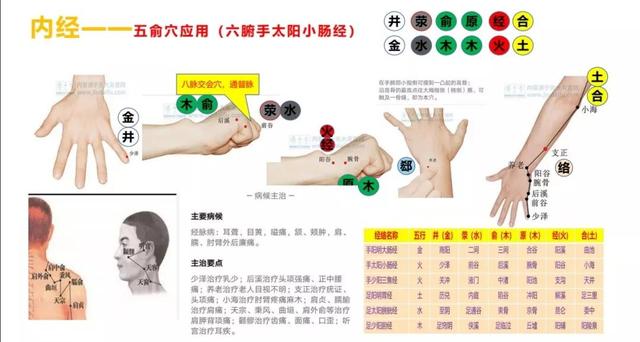 五输穴的位置及应用