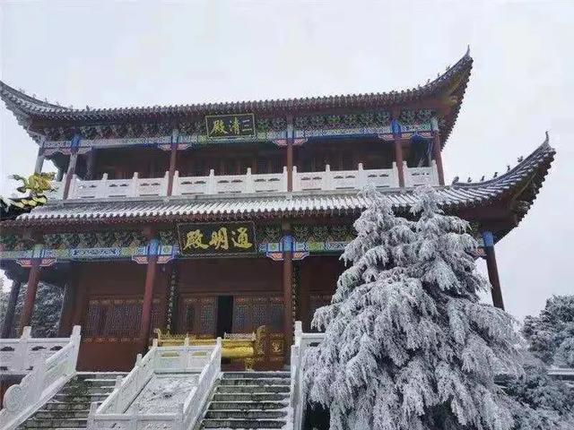 鸟声是云山悠然的种子//邹三龙