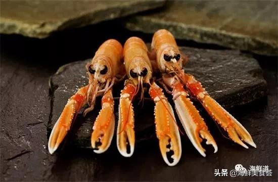 海鲜种类