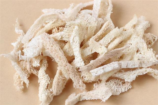 腰肌劳损的康复之路：中药的调理之法