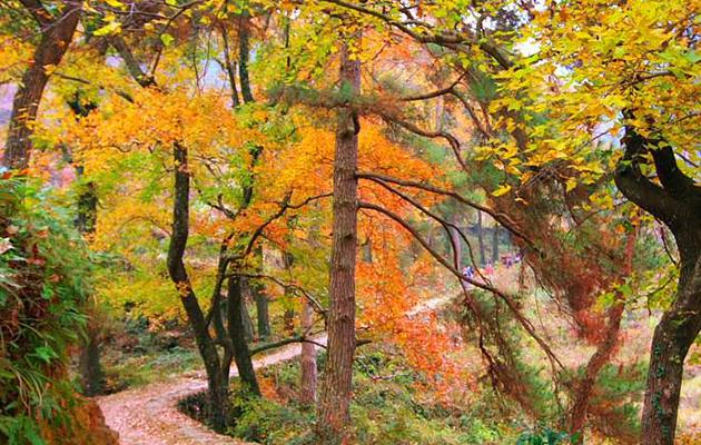 春季公司团建方案